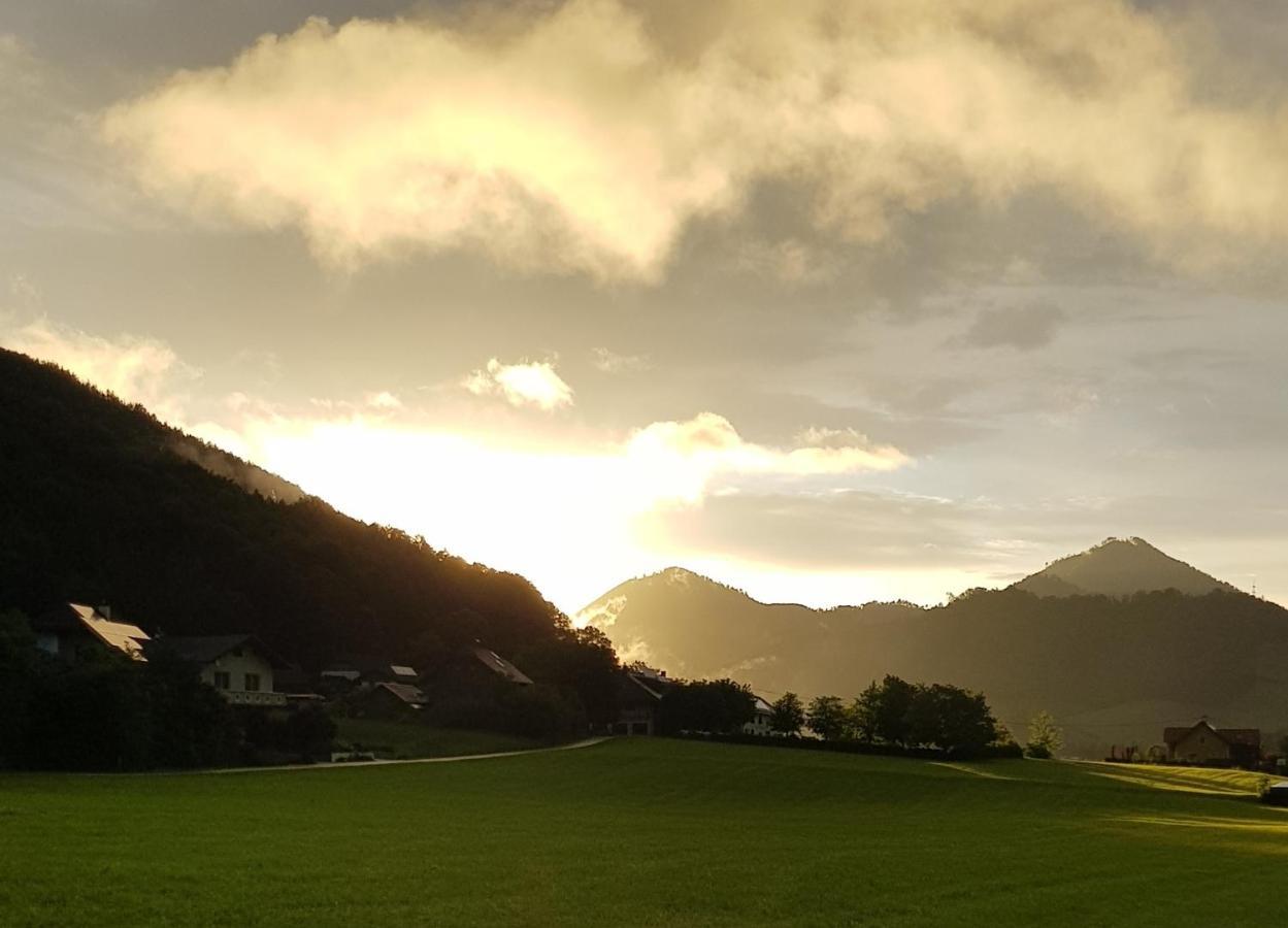 Hof Zur Steinwaend Panzió Micheldorf in Oberösterreich Kültér fotó